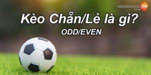 Kèo chẵn lẻ đang là một hình thức cược được nhiều bet thủ ưa chuộng