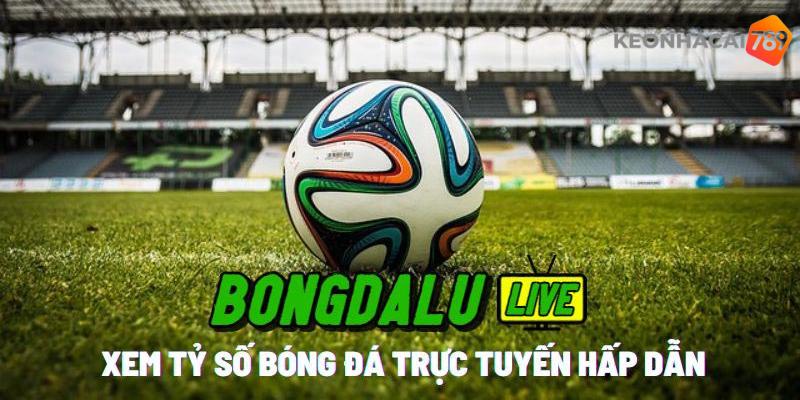 Trang tin Bongdalu phát triển rất nhanh ở thị trường Việt Nam